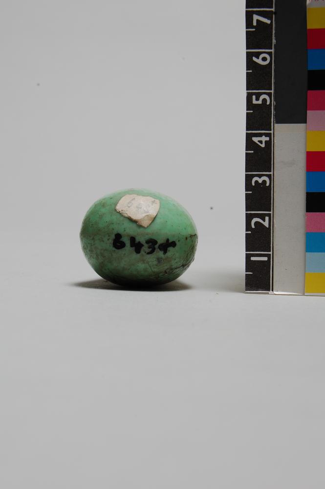 图片[4]-snuff-bottle BM-Franks.643.+-China Archive